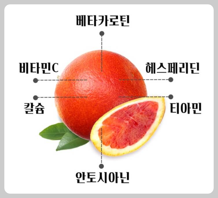 모로오렌지 효능