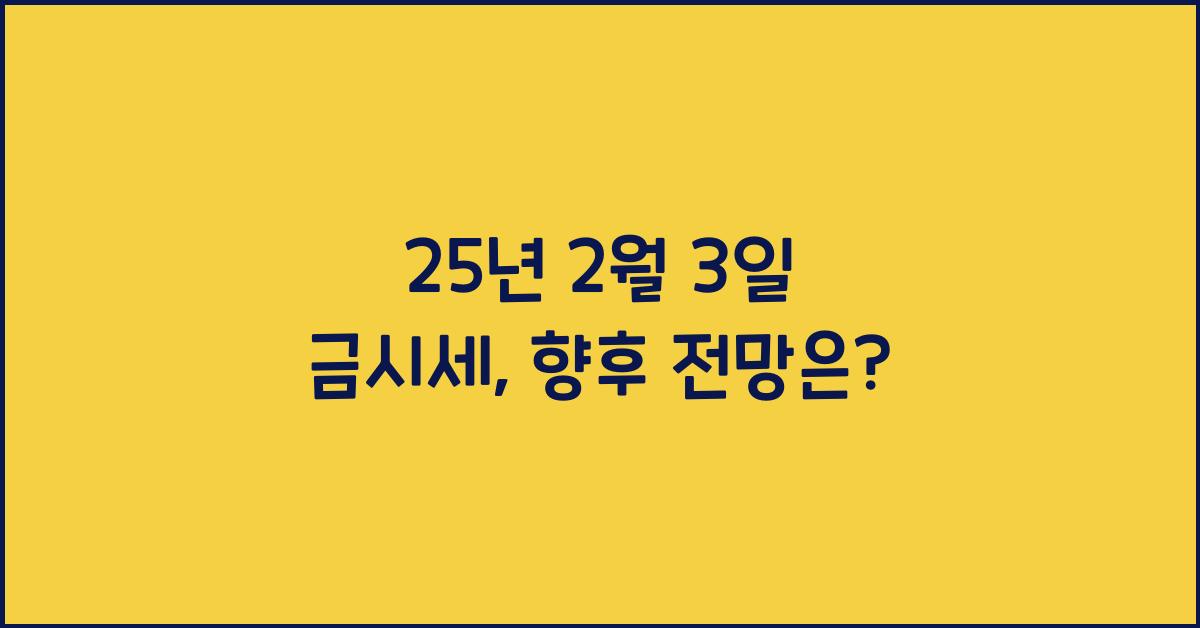 25년 2월 3일 금시세