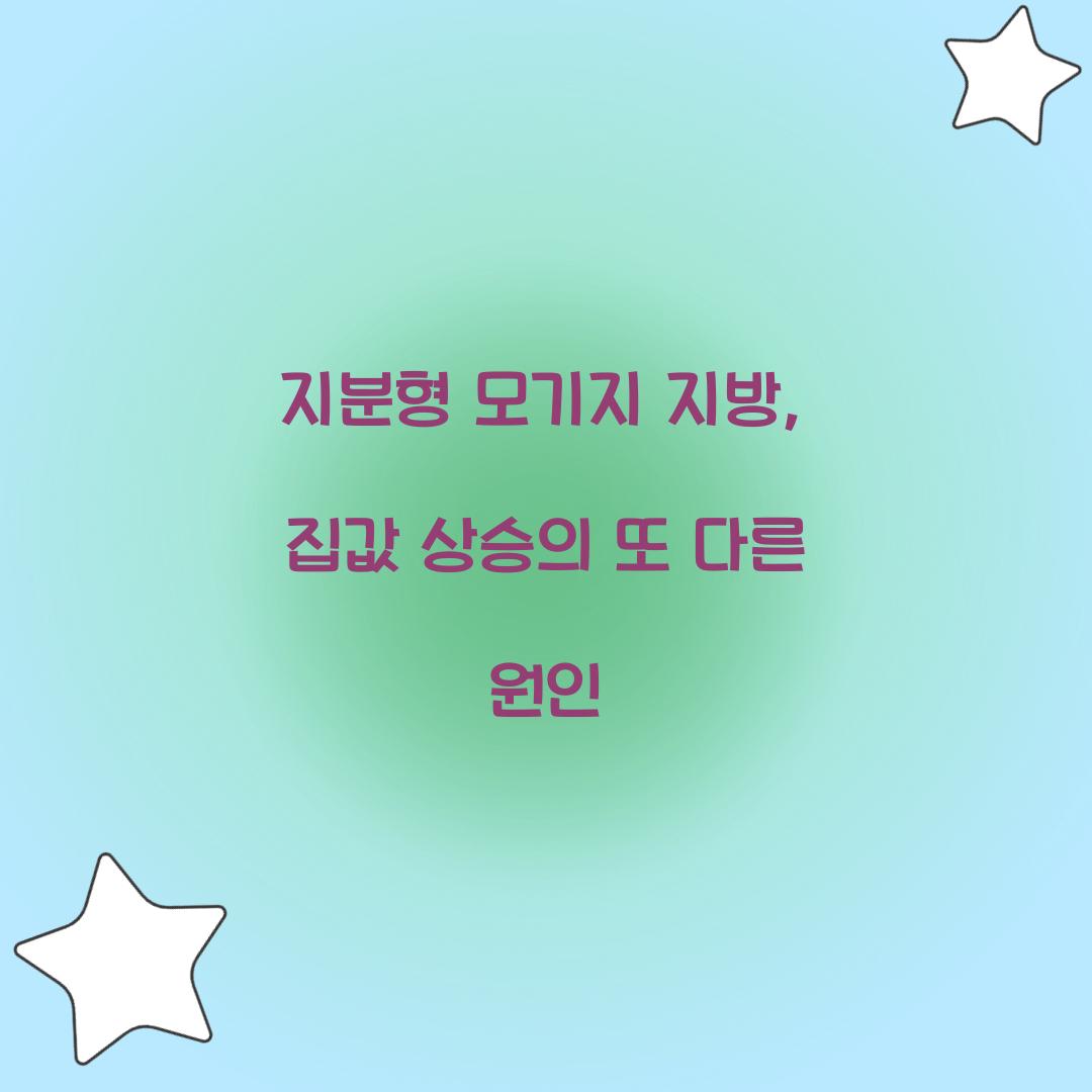 지분형 모기지 지방