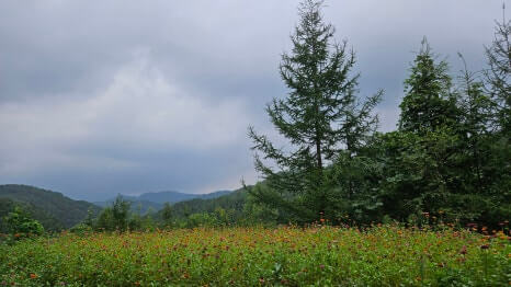 골프장 경험담 춘천 오너스cc 전망&amp;#44; 코스 설계&amp;#44; 시설&amp;#44; 접근성 네 박자를 고루 갖춘 강원권 대표 골프장