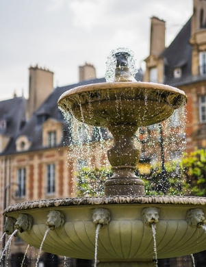 바이오필릭 디자인, 건축의 미래가 되는 이유