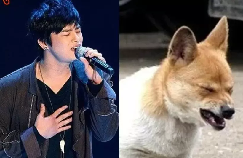 서인구구 닮은 꼴