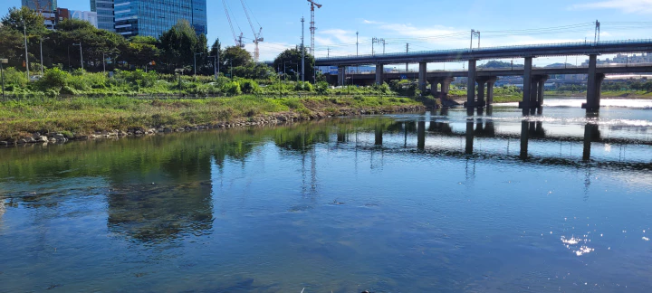 살곶이다리에서 한강쪽을 바라보고 찍은 사진