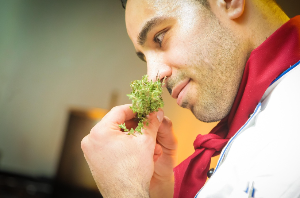 냄새는 어떻게 코로 느껴질까