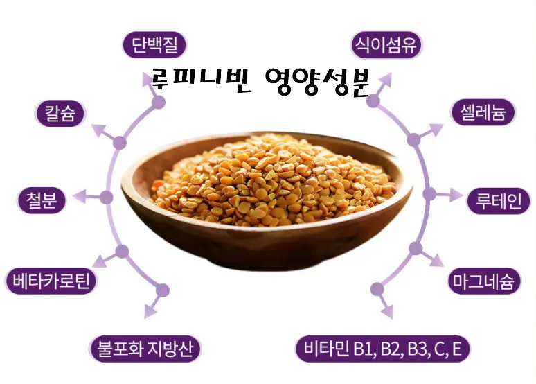 루피니빈