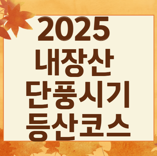 2025 내장산 단풍 절정시기 & 난이도별 등산코스 TOP 5 완벽 정리