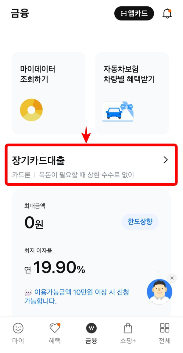 금융 장기카드대출