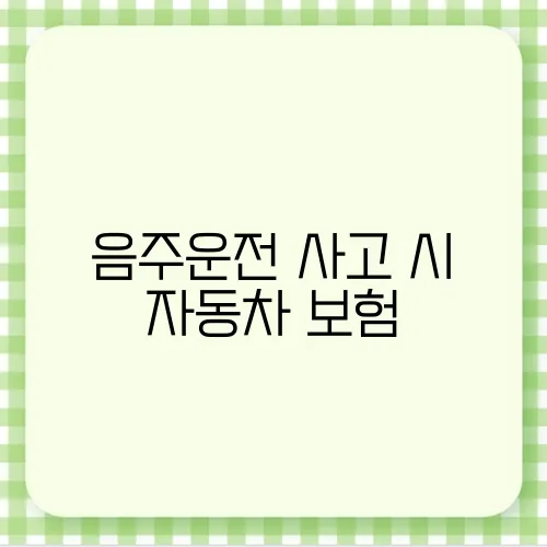 음주운전 사고 시 자동차 보험