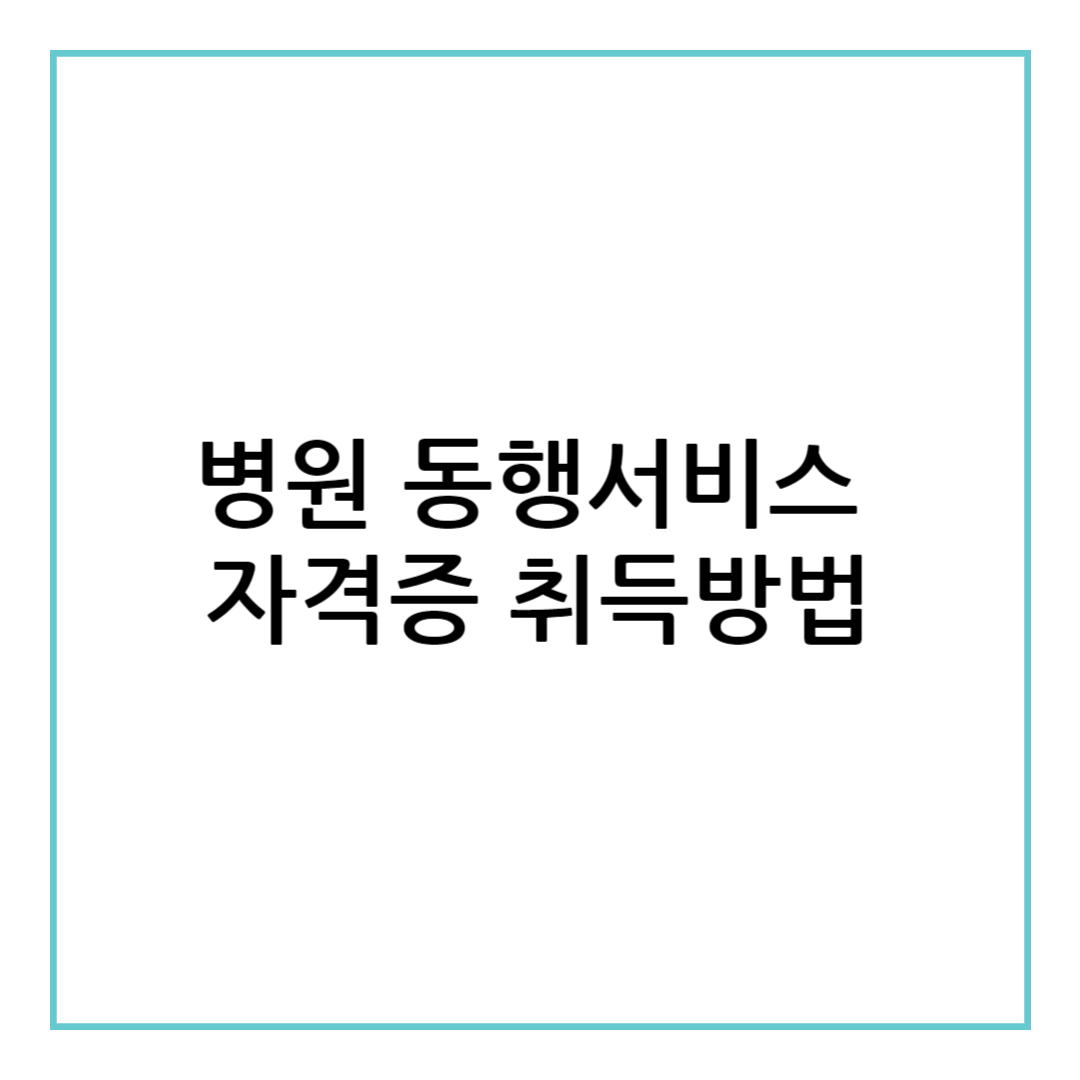 병원 동행서비스 자격증