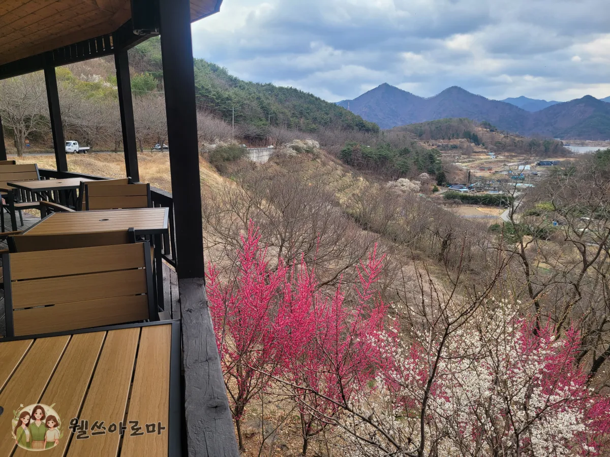 순매원근처카페-가마등-테라스경치