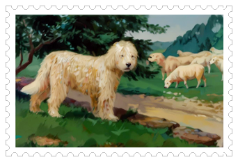 양의 탈을 쓴 개