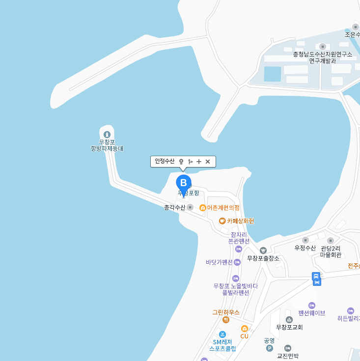 6시 내고향 충남 보령 쭈꾸미