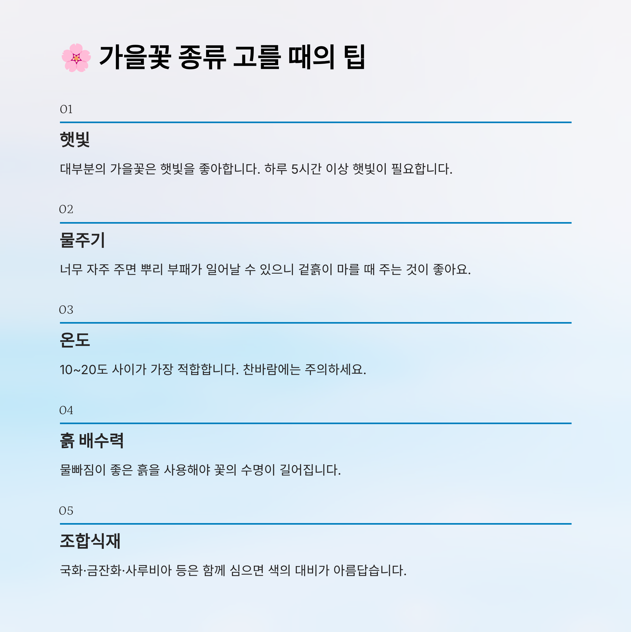 가을꽃 종류 알아보기