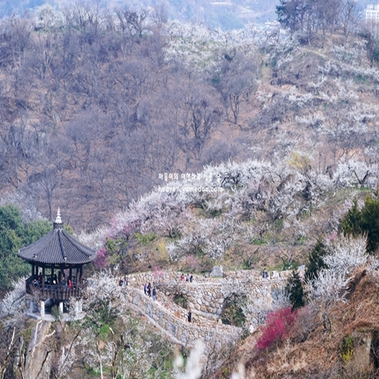 2월 여행하기 좋은곳
