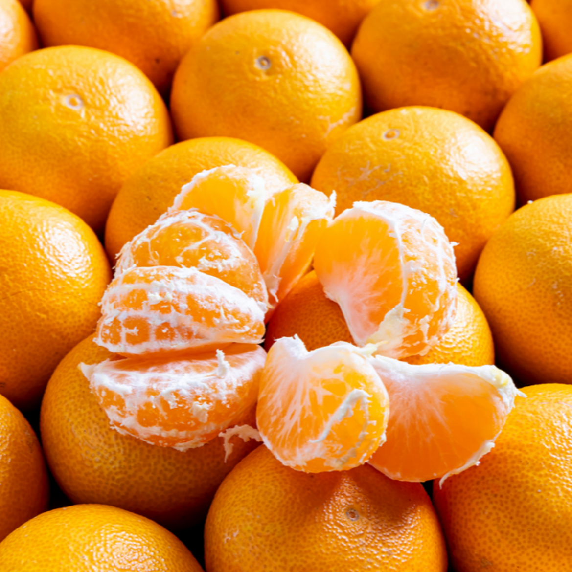 촛불집회-준비물