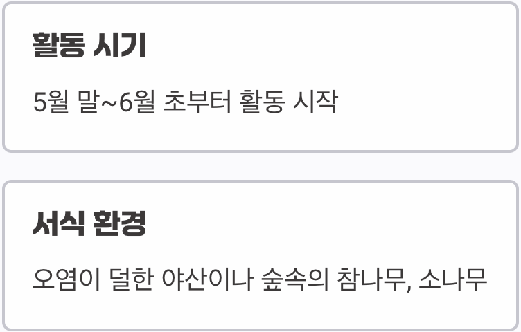 초여름의 작은 전령사