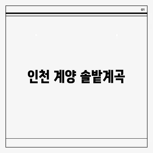 인천 계양 솔밭계곡, 아기와의 완벽한 나들이 장소