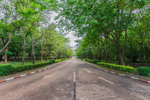 라오스 고원의 지하 저장 창고와 통합 건축 방식