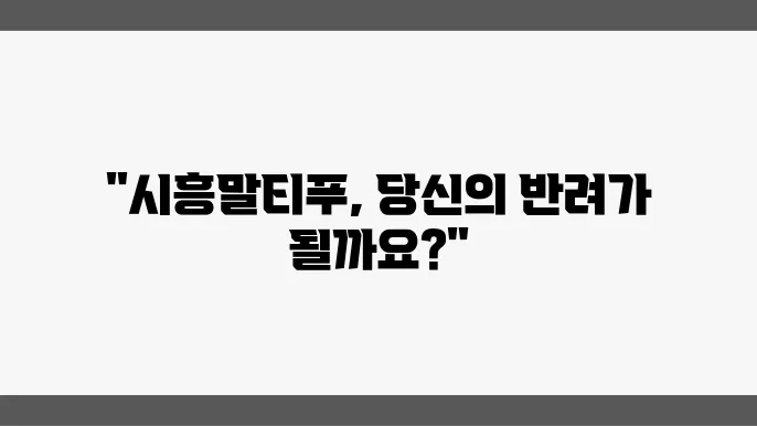 시흥말티푸분양 알아봅니다