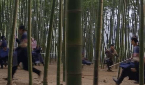 아홉산 대나무 숲