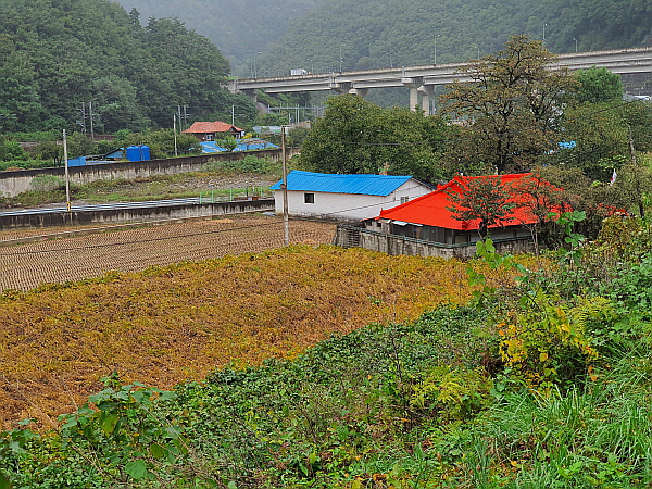 한국 여행 사진