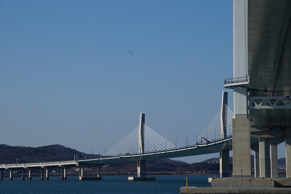 세계 1위 높이 청라하늘대교 개통! 통행료 무료 신청 및 전망대 개장 연기 정보(2026 최신)
