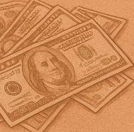 민생회복 정부 지원금 소비쿠폰