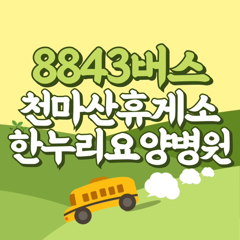 천마산휴게소.한누리요양병원에서 인천공항 리무진 공항버스(8843번) 썸네일