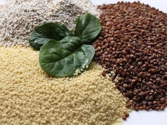 심혈관 건강에 도움을 주는 메밀