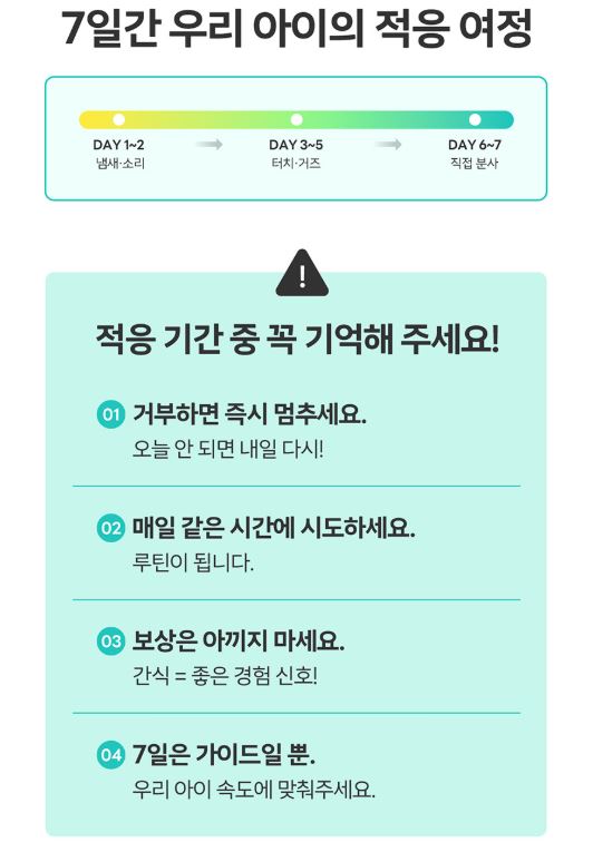 바이랩 덴탈 스프레이 사용법