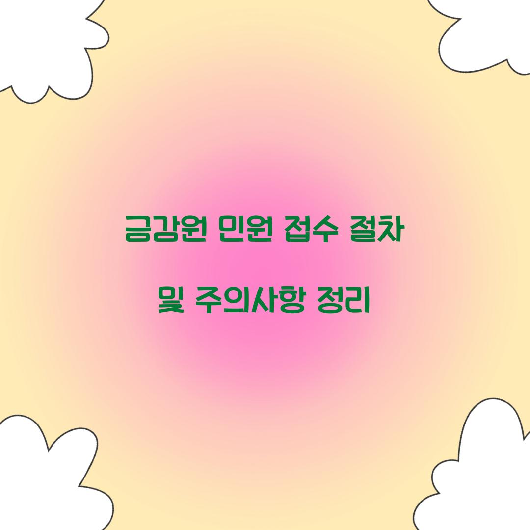 금감원 민원 접수