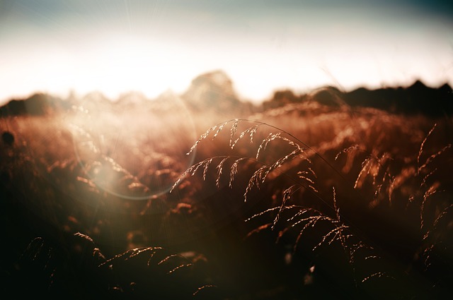 원데이 렌즈 추천