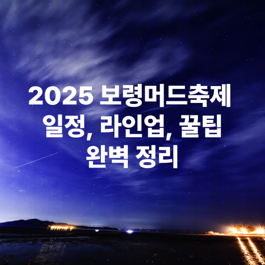 2025 보령머드축제 : 일정, 라인업, 꿀팁, 완벽 정리