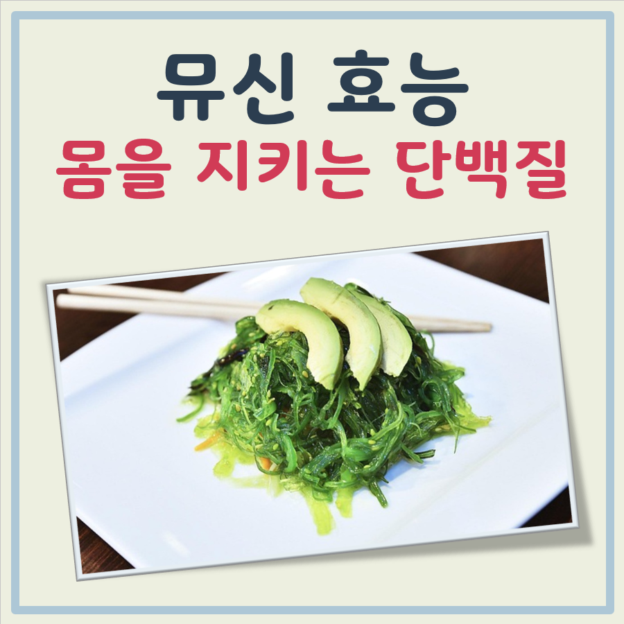 뮤신 효능 대표 이미지