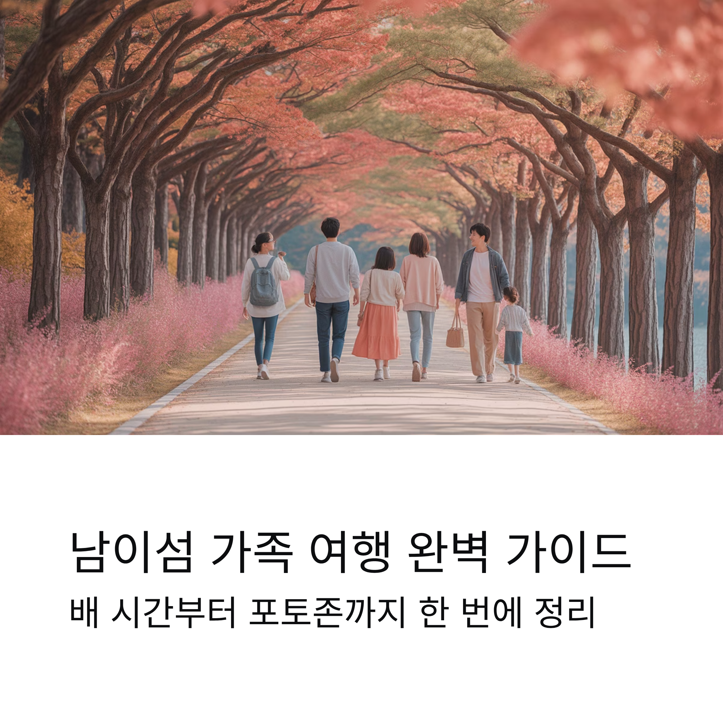 남이섬 가족 여행 배 시간부터 포토존까지 한 번에 정리