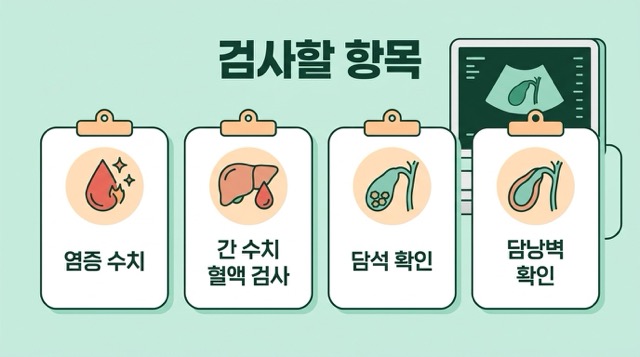 담낭염 검사 치료 혈액검사 초음파 CT 항생제 수술