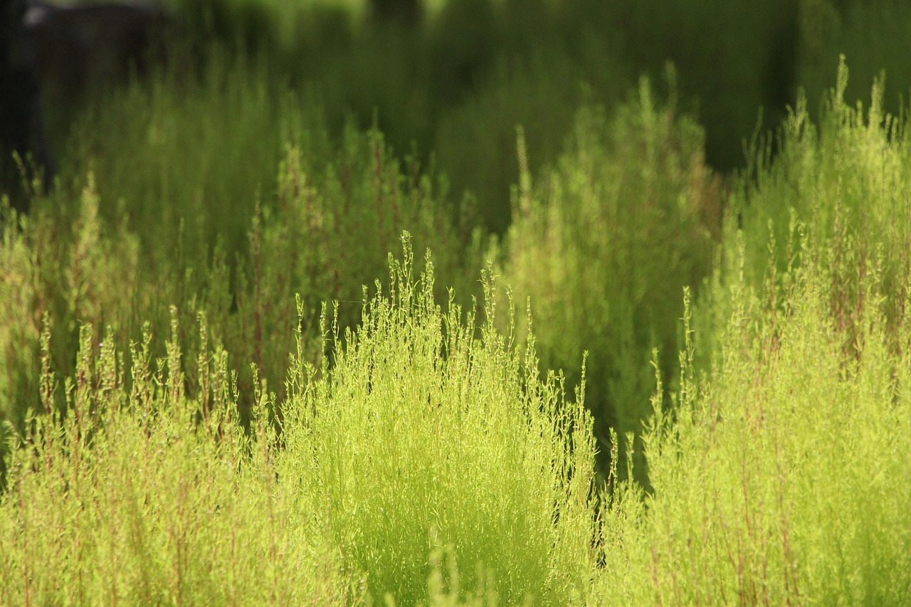 비 오는 날 가기 좋은 곳
