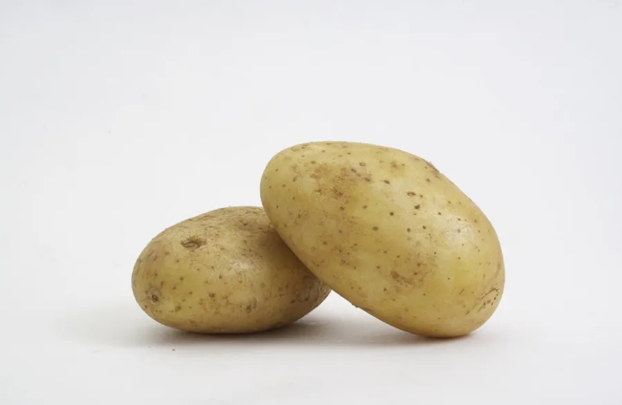 속 쓰림에 좋은 음식 종류 - 3