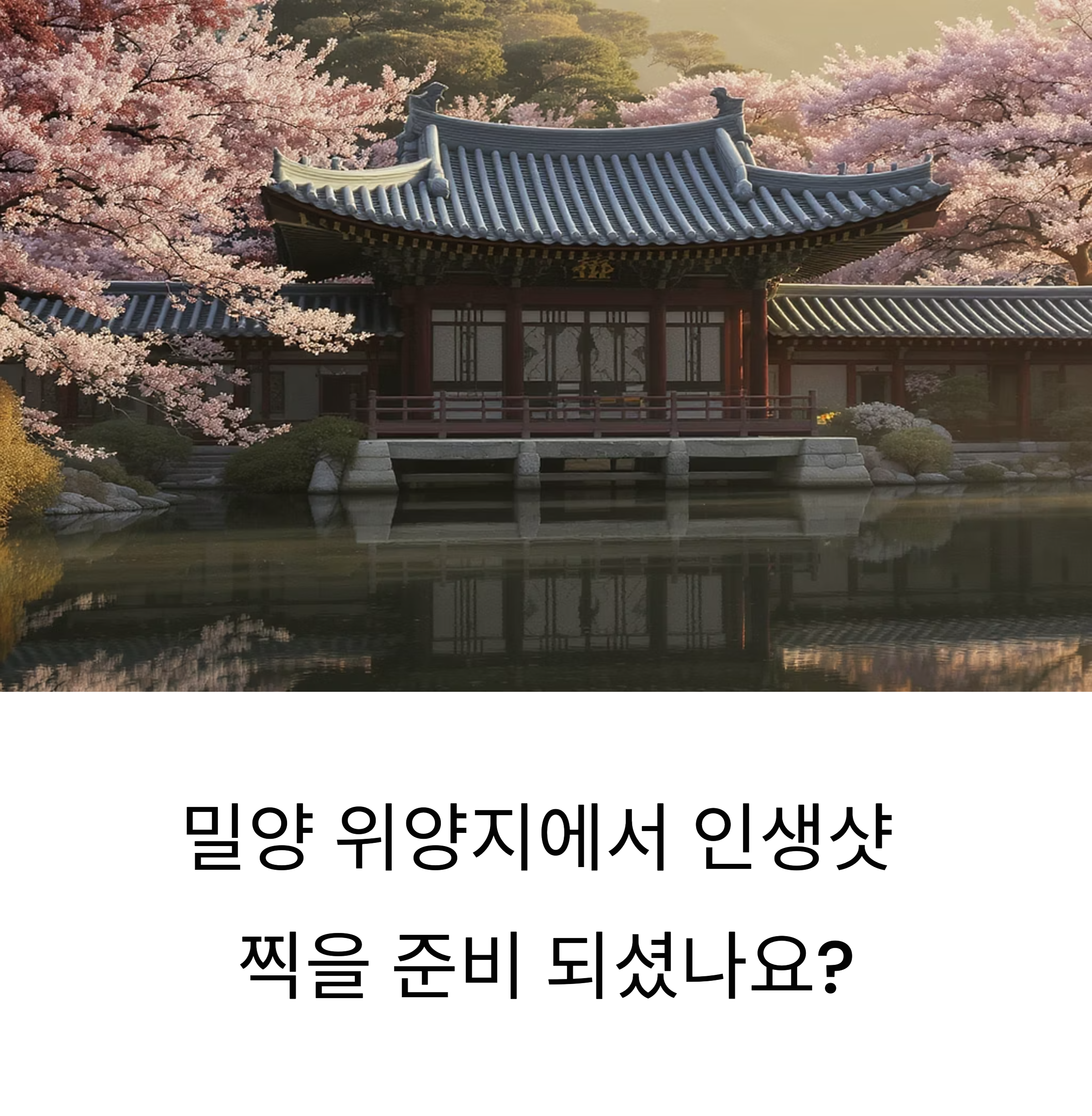 봄꽃 데이트 사진 명소