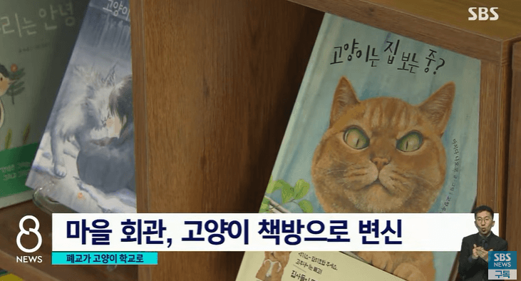 통영 고양이 회관