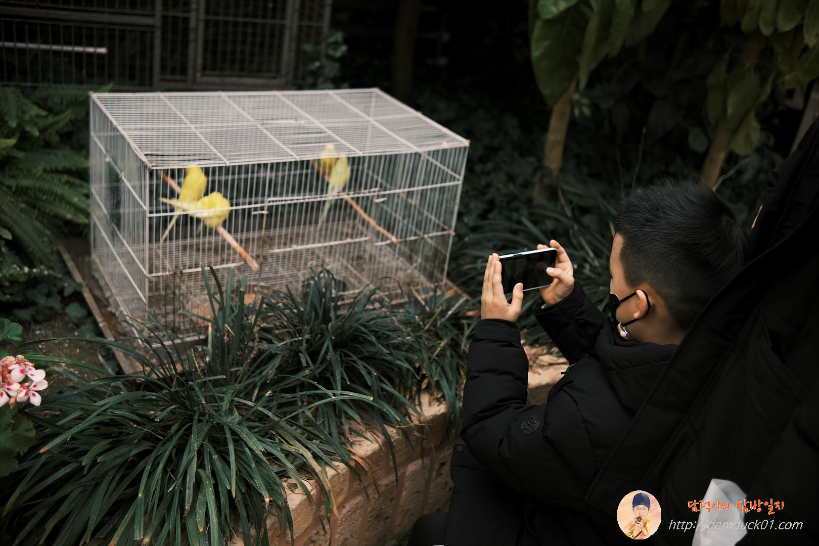 용인곤충테마파크 새