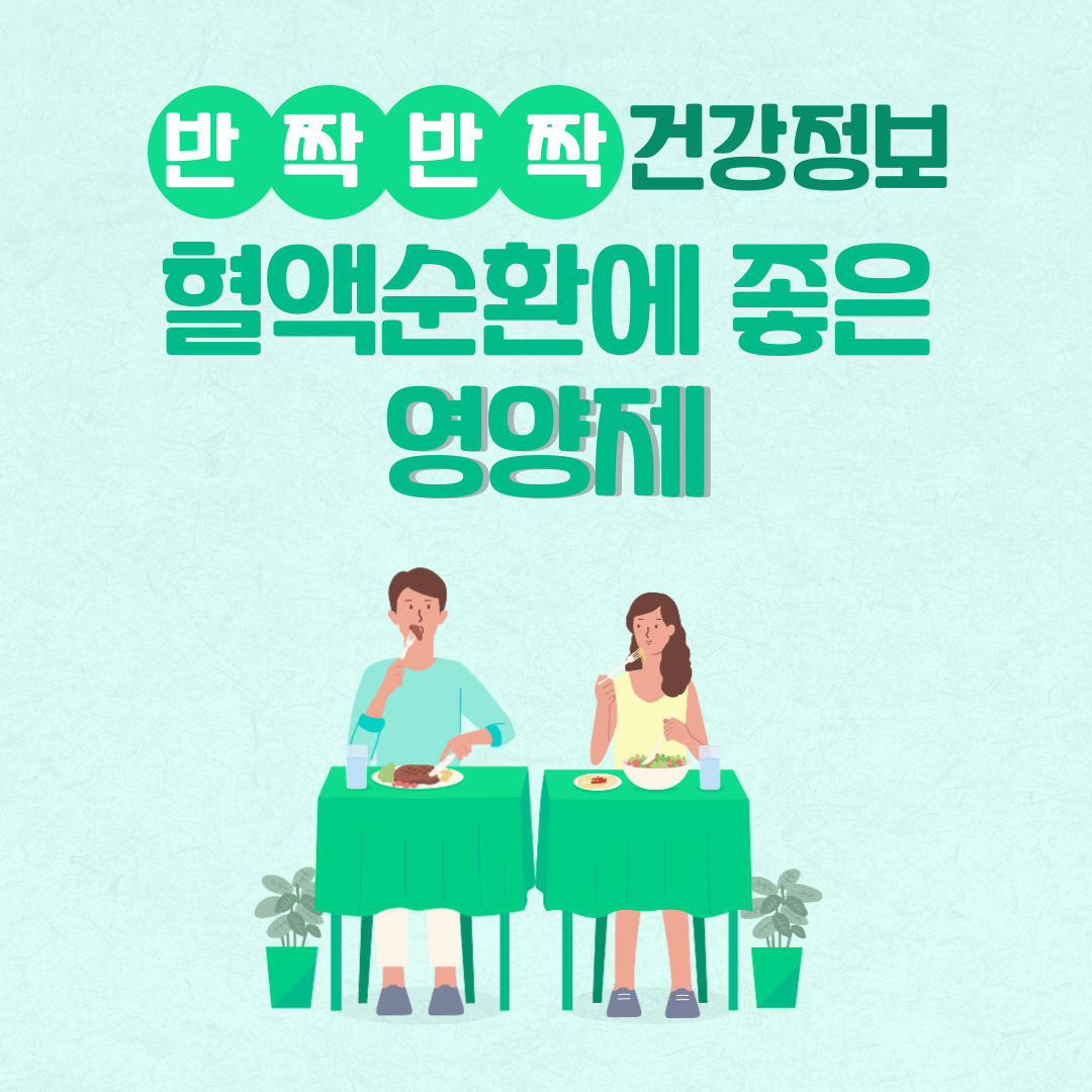 혈액순환에 좋은 영양제