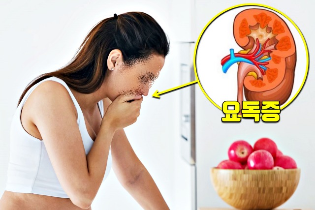 콩팥이 안좋을때 증상,구역식 식욕,콩팥이 안좋으면 나타나는 증상
