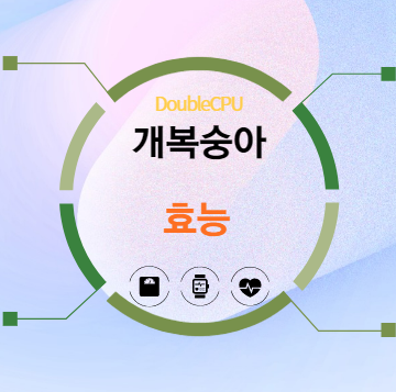 개복숭아 효능 5가지