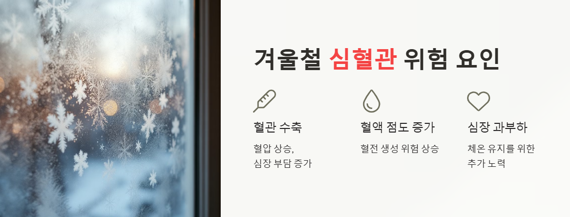 심혈관 위험 요인