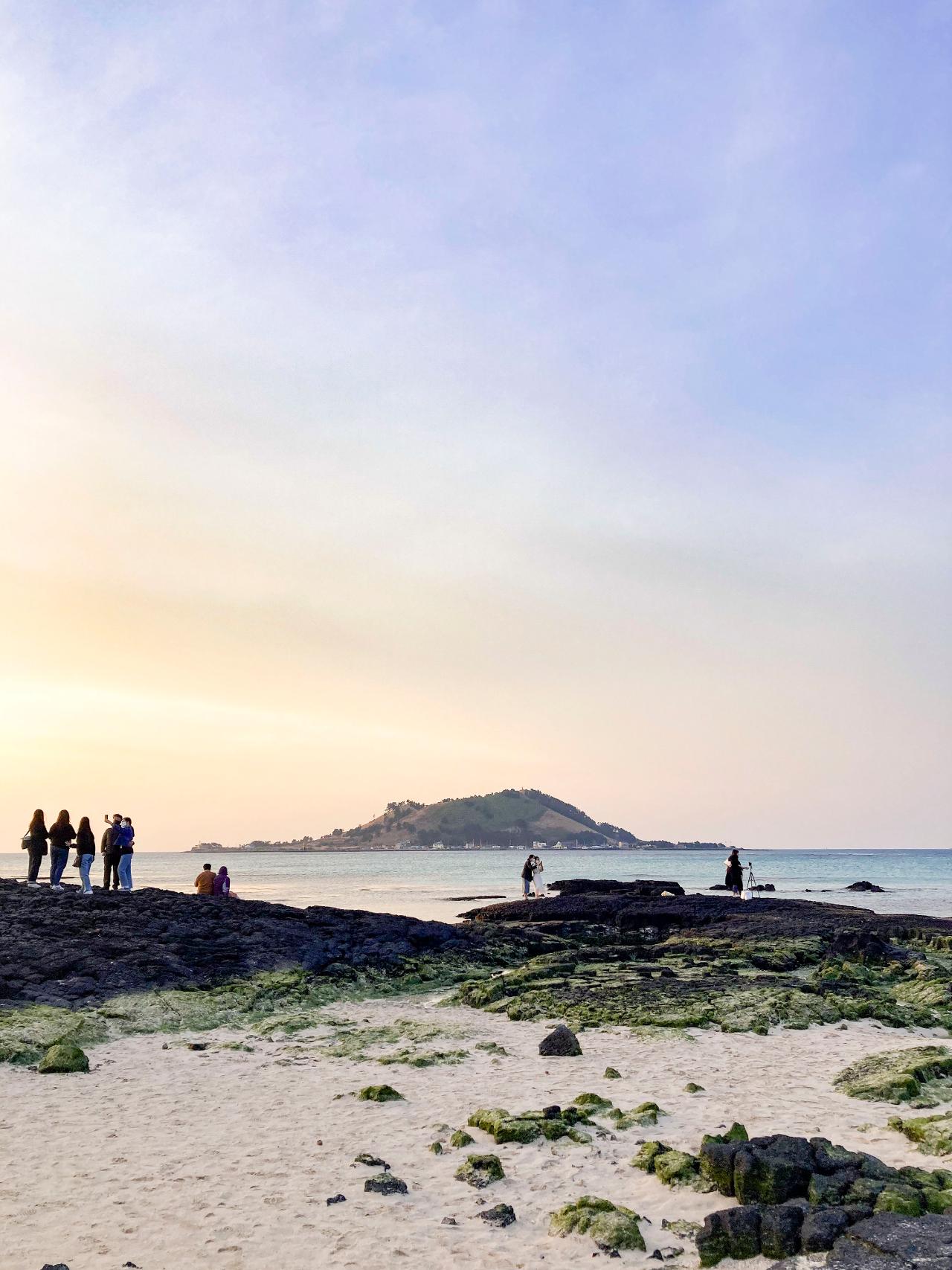 제주도 겨울여행 추천! 제주 서부 명소와 꿀팁