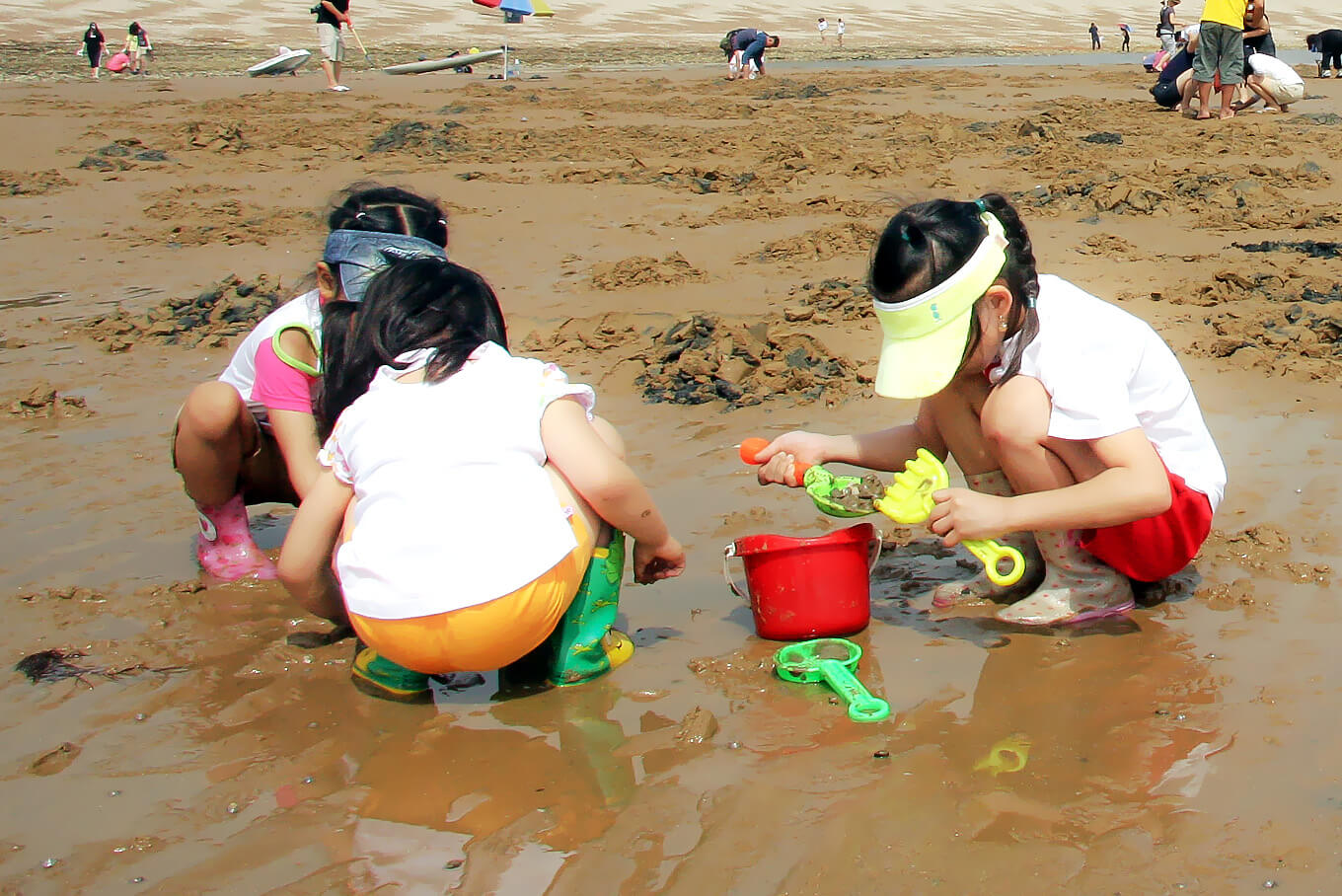 안면도수산시장 수산물 축제