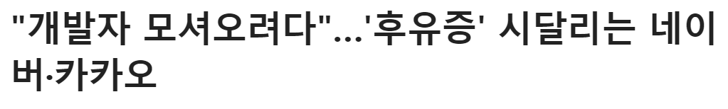 개발자임금부담