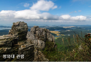 청와대 관람 신청