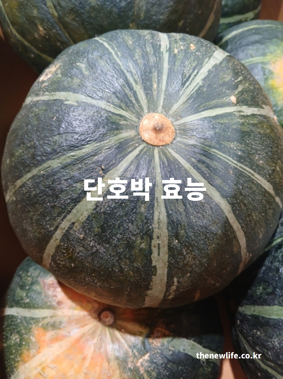 단호박 효능을 설명하기 위한 대표 실물 사진